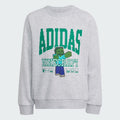 Adidas conjunto Minecraft gris - ADI-CON-01